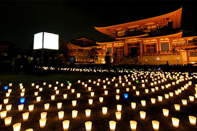 ほの灯り金剛寺2009